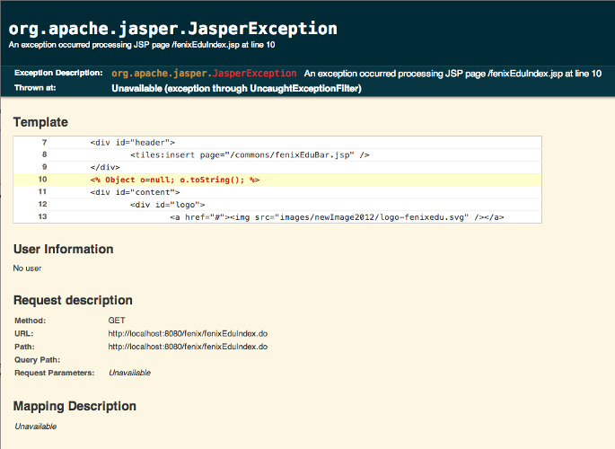 Figure 6 - FenixEdu Debug Page